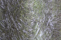 Cippyn fibreglass roof work